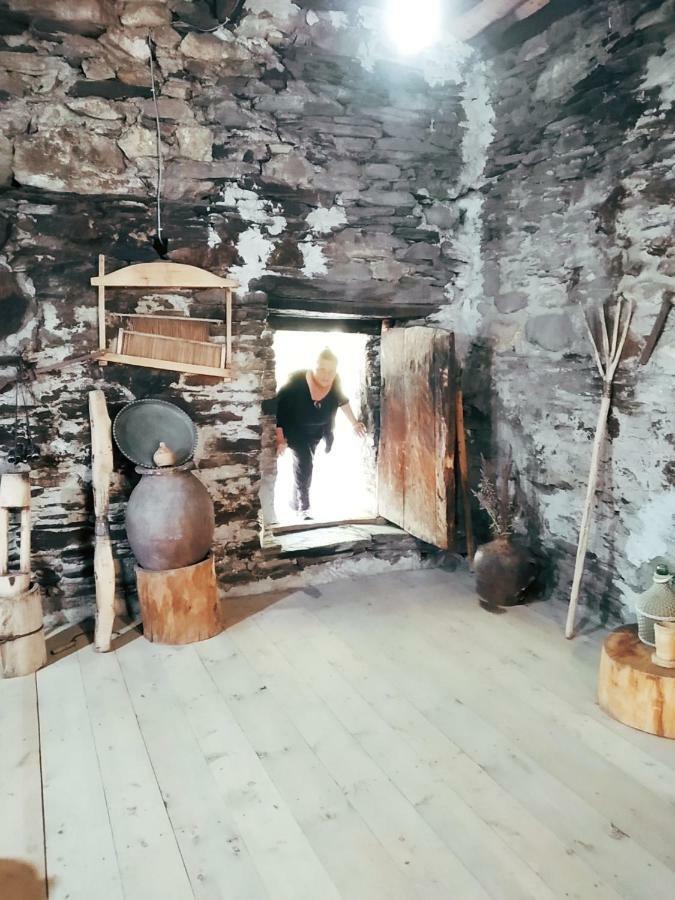 Raul Lushnu Darbaz Bed and Breakfast Mestia Eksteriør billede